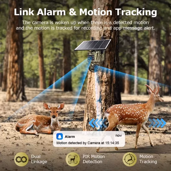 ハンクビジョンソーラー